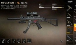 爆料和平精英最新枪