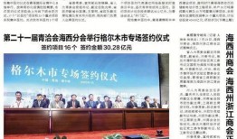 格尔木九月爆料新闻视频,揭秘神秘事件背后的真相