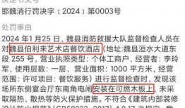 爆料本周大事件新闻视频,揭秘热点新闻背后的真相