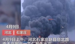仁化媒体爆料事件视频播放,视频播放揭示惊人真相