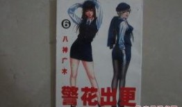 警花出更全集在线观看,全集在线观看，揭秘女警英勇事迹