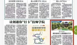 深圳晶报新闻爆料,揭秘深圳某神秘项目内幕