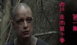 尸城手机在线观看,惊悚悬疑，带你探索末世生存之谜