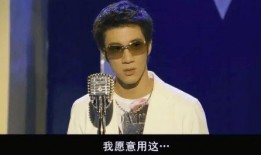 网红吃王力宏的瓜,王力宏瓜田里的那些事儿