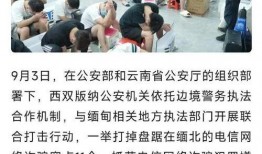 缅北最新爆料新闻报道图片,揭秘缅北战事新动态