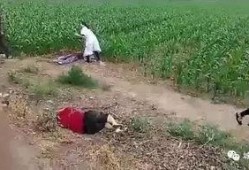 石家庄爆料藁城事件视频,石家庄突发事件的真相揭秘