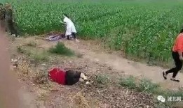 石家庄爆料藁城事件视频,石家庄突发事件的真相揭秘