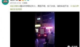 最新高校爆料视频大全下载,揭秘校园生活幕后真相