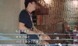 赵中阁老婆爆料视频,揭秘夫妻关系背后的真相