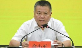 张松文新爆料最新消息,最新消息揭示惊人内幕