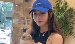 娱乐圈爆料的规矩是什么,揭秘潜规则与禁忌