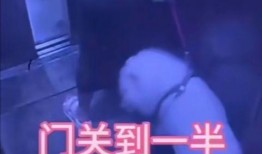 贵溪女子爆料案件视频,揭开惊人真相
