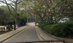 甘棠公园爆料视频播放,揭秘公园美景与趣事