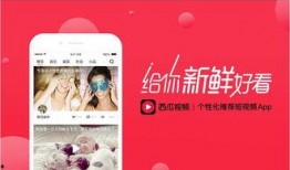 今日头条吃瓜爆料视频,吃瓜爆料视频背后的惊人真相