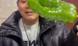 宜春网红吃瓜事件视频最新,揭秘网络热议背后的真相