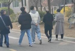 焦作网红吃瓜事件,揭秘网络舆论的风云变幻