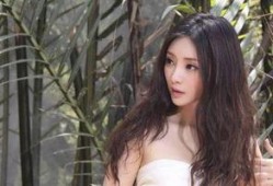 疯狂爆料陈丹丹视频,揭秘娱乐圈不为人知的秘密