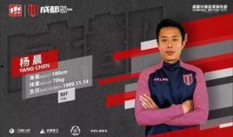 杨晨爆料视频大全下载免费,揭秘幕后真相，免费下载尽享独家内容