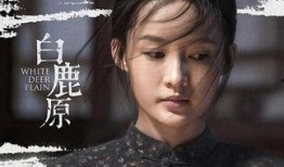 电视剧白鹿原在线观看完整版,穿越历史长河，探寻家族兴衰之谜