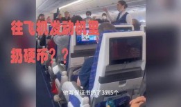 飞机内部爆料视频大全,全方位爆料视频大全精彩呈现