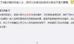 王思聪八字爆料视频,揭秘娱乐圈富二代背后的神秘力量