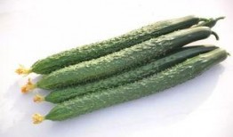 太阳wall吃瓜爆料最新