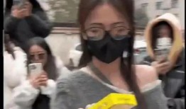 吃瓜爆料大叔视频,揭秘娱乐圈幕后真相