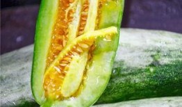 网红吃瓜曝光,娱乐圈幕后真相大曝光