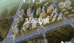 城东某楼盘爆料事件最新,揭秘神秘事件背后真相