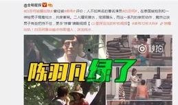 高淳事件大爆料视频大全,视频大全深度剖析