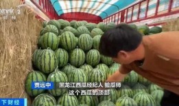 西藏扎西枫丹娱乐吃瓜,吃瓜群众眼中的神秘娱乐王国