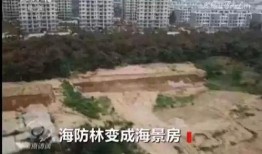 海阳市爆料网最新消息,最新动态速览，揭秘海阳市热点事件！