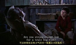 电影海明威在线观看,重温经典文学巨匠的传奇人生