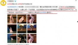 替身演员爆料视频大全下载,揭秘幕后真相与幕后故事