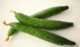 白翻译官吃免费瓜,体验异国风情