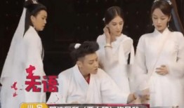 爆料黄子韬杨紫视频是真的吗