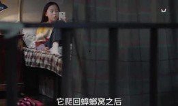 豆姐爆料孩子视频大全,孩子成长瞬间视频大全