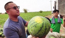 全网吃瓜免费入口,一网打尽热门话题
