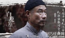 电视剧白鹿原在线观看完整版,穿越历史长河，探寻家族兴衰之谜