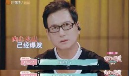 娱乐吃瓜酱谈分手,分手背后的真相与心酸
