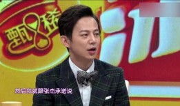 何炅爆料张杰抑郁症视频,音乐背后的心酸历程