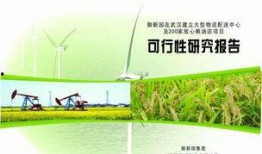 新闻文字爆料文案,揭秘新闻背后的真相与内幕