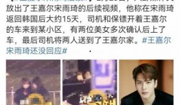 宋雨琦娱乐爆料视频大全,精彩瞬间回顾