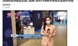 深圳晶报新闻爆料,揭秘深圳某神秘项目内幕