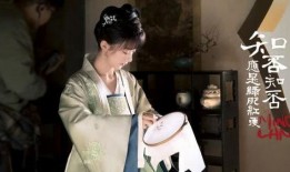 电视剧知否知否全集在线观看,揭秘古代家族的兴衰传奇