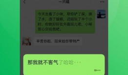 九号新品爆料视频下载安装,视频爆料背后的惊喜与期待
