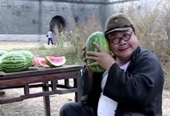 白翻译官吃免费瓜,体验异国风情