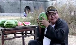 白翻译官吃免费瓜,体验异国风情