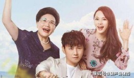 伊能静婆婆爆料秦昊视频,揭秘夫妻关系背后的真相