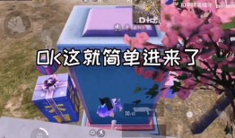 扭蛋机爆料视频教程,视频教程带你轻松解锁扭蛋乐趣